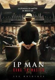 Ip Man Kung Fu Master (2019)